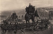 Слоны Ганнибала пережили переход через Альпы лучше его солдат: ученые назвали причину