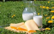 Для крепких костей важен не только кальций: что советует включить в рацион врач