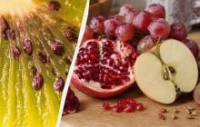 Косточки этого фрукта вредны для здоровья: какие семена можно есть, а какие - нет