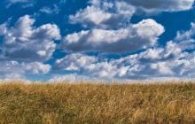 12 серпня Україна опиниться в тилу холодного фронту: що буде з погодою