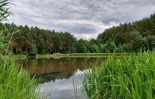 Чим загрожує купання в річці чи озері: вчені розкрили несподівані наслідки для здоров'я