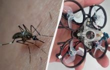 Інженери створили крихітний дрон, який може збивати комарів у повітрі (відео)