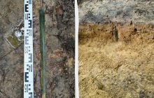 У Польщі чоловік прогулювався лісом і знайшов стародавній меч віком 2700 років