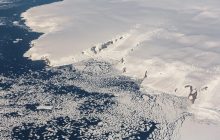 Під кригою Антарктиди вчені знайшли колонію морських істот розміром із ціле місто