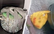 Замаскував вибухівку в каструлях: агент РФ планував подвійний теракт в Івано-Франківську