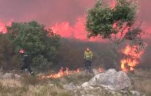 Макрон наказав залучити армію та звернувся за допомогою до ЄС: в ЗМІ повідомили деталі