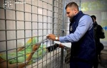 Російський удар по виставці озброєнь на Київщині: головного організатора події затримали