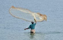 Ученые привязали пластиковые бутылки к рыболовным сетям: это дало неожиданный эффект