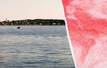 В США часть океана окрасили в розовый: зачем ученые вылили в воду щелочь