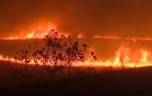 Зміна клімату збільшила ймовірність мегапожеж в Іспанії у 20 разів