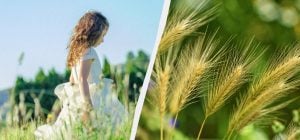 Що відзначаємо 2 липня: професійні свята та жіночий обряд для оздоровлення