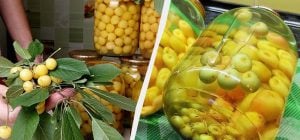 Витаминный компот из черешни и липы: украинка придумала необычную консервацию