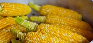 Кукурудза нашвидкуруч за 5 хвилин: як приготувати без плити та духовки
