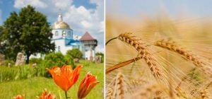 8 июля: церковный праздник сегодня, что в этот день обещает жару и богатый урожай