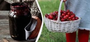 "Королівське" вишневе варення на зиму: рецепти з кісточками та без них