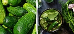 Хрустящие маринованные огурцы с водкой: рецепт на литровую банку