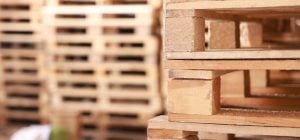 Старые поддоны пригодятся на даче: что из них можно сделать