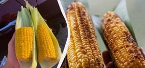 Больше не варю кукурузу - готовлю по-другому: получается сладкой, мягкой и сочной