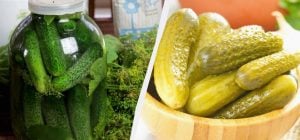 Почему огурцы в банке становятся мягкими: одна добавка сделает их хрустящими