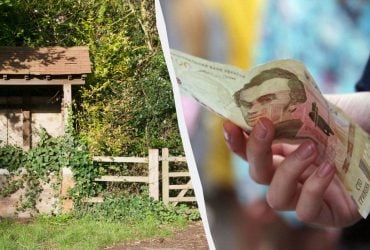 Українців штрафують за бур’ян на ділянці: якої висоти може бути трава