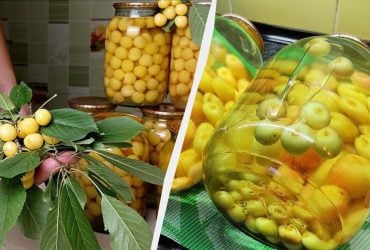 Вітамінний компот із черешні та липи: українка придумала незвичайну консервацію
