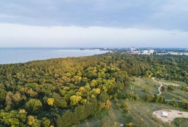 В польском лесу нашли 3000-летний клад эпохи бронзы