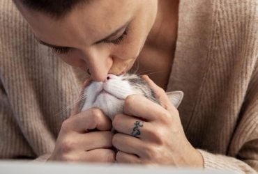 Ваша кошка мурлыкает не только от счастья: вот что выяснили ученые