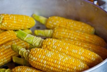 Кукуруза на скорую руку за 5 минут: как приготовить без плиты и духовки