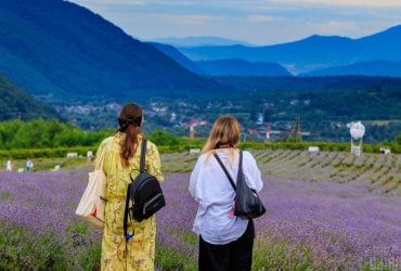 В Закарпатье бескрайние лавандовые поля привлекают толпы туристов (фоторепортаж)