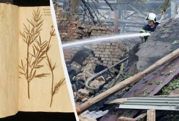 Удари РФ по Україні ставлять під загрозу мільйони історичних зразків рослин у Києві