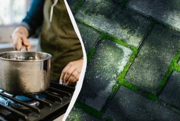 Картофельный отвар помогает решить популярную проблему на участке: о чем идет речь