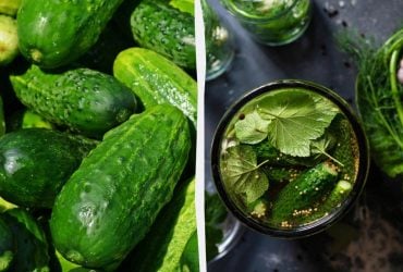 Хрусткі мариновані огірки з горілкою: рецепт на літрову банку