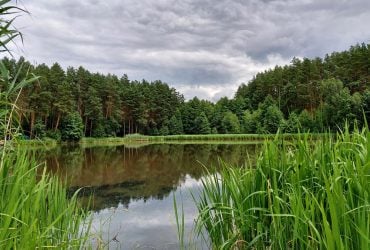 Чем грозит купание в реке или озере: ученые раскрыли неожиданные последствия для здоровья