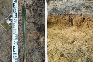 У Польщі чоловік прогулювався лісом і знайшов стародавній меч віком 2700 років