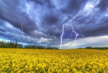 Укргідрометцентр попередив про негоду: 9 областей у небезпеці (карта)