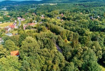 Польща створює "громадські ліси" навколо великих міст: де з'явився перший