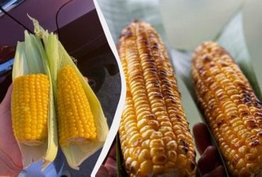 Більше не варю кукурудзу – готую по-іншому: вона виходить солодкою, м’якою та соковитою