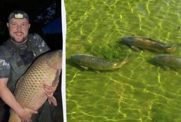 У Дніпрі впіймали гігантського коропа вагою майже 15 кг (відео)