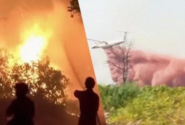Лесные пожары во Франции могут представлять угрозу для заводов по производству ракет, – The Telegraph