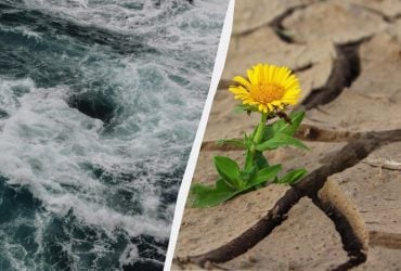 Такого Ель-Ніньйо не бачили щонайменше 150 років: чого чекати світу