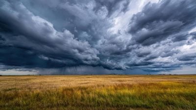 23 вересня в Україні очікуються дощі, грози та сильний вітер (карта)