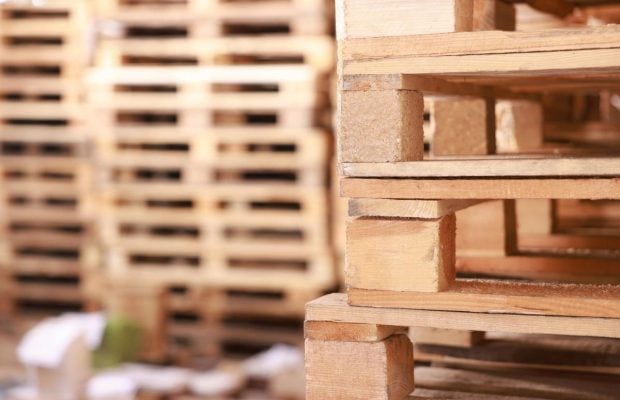 Старі піддони стануть у пригоді на дачі: що з них можна зробити