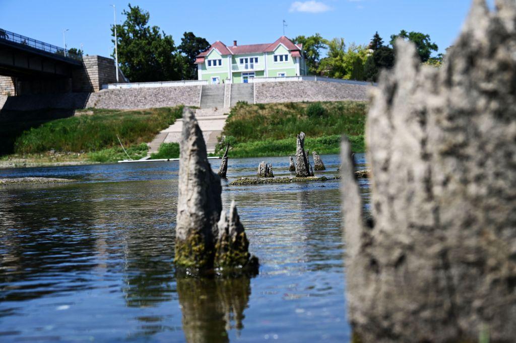 Тиса отступила и показала остатки моста времен Османской империи (фото) Тиса отступила и показала остатки моста времен Османской империи (фото)