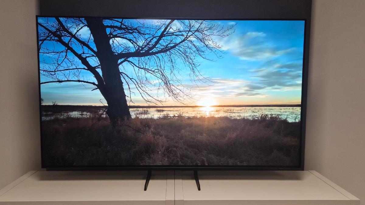 Эксперты нашли доступный OLED-телевизор Samsung: он почти не уступает дорогим моделям Эксперты нашли доступный OLED-телевизор Samsung: он почти не уступает дорогим моделям