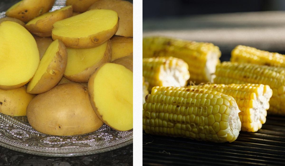 Картопля проти кукурудзи: дієтолог пояснив, який продукт краще для рівня цукру в крові