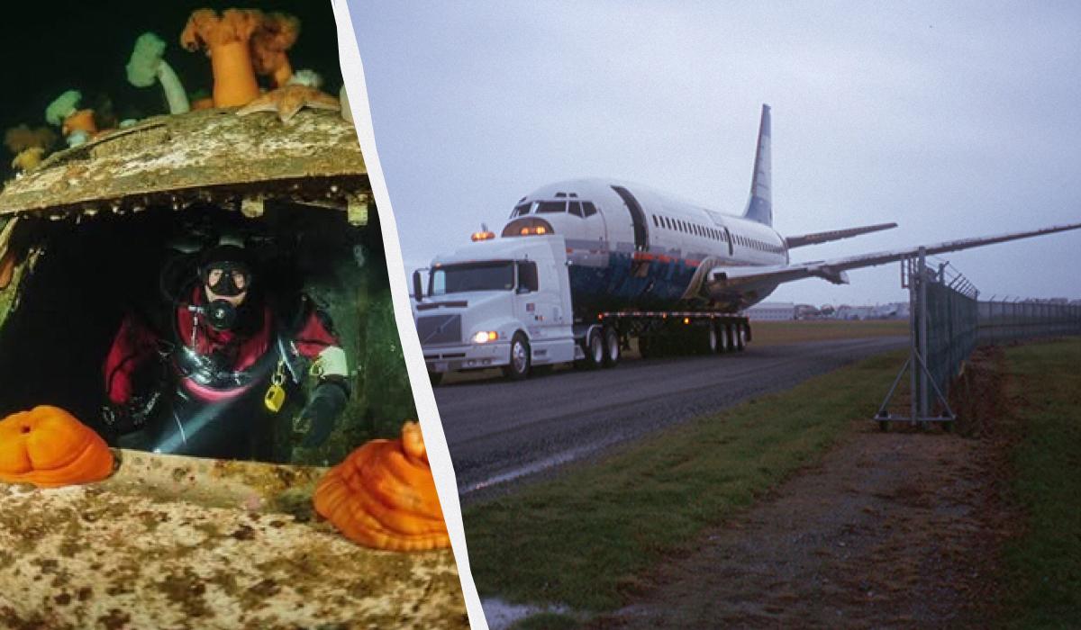 Затоплений Boeing 737 став новим рифом та популярним місцем для дайвінгу (відео)
