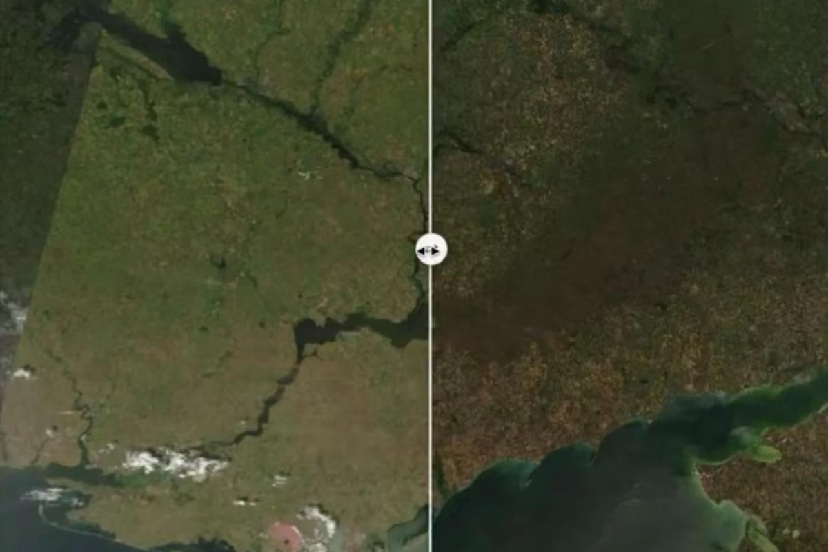 Лінію фронту в Україні вже видно з космосу: супутники зняли наслідки боїв Лінію фронту в Україні вже видно з космосу: супутники зняли наслідки боїв