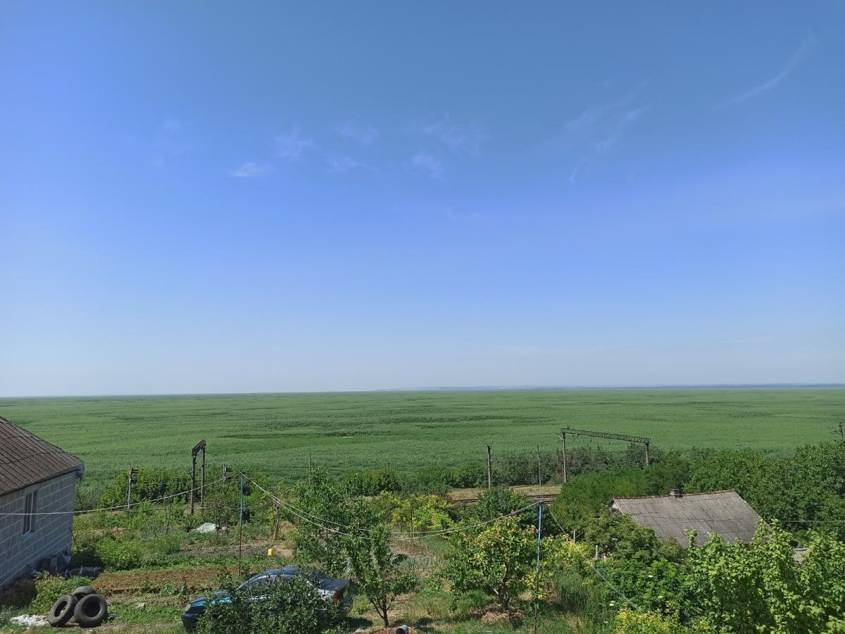 На місці Каховського моря формується гігантський заповідник, – науковець На місці Каховського моря формується гігантський заповідник, – науковець
