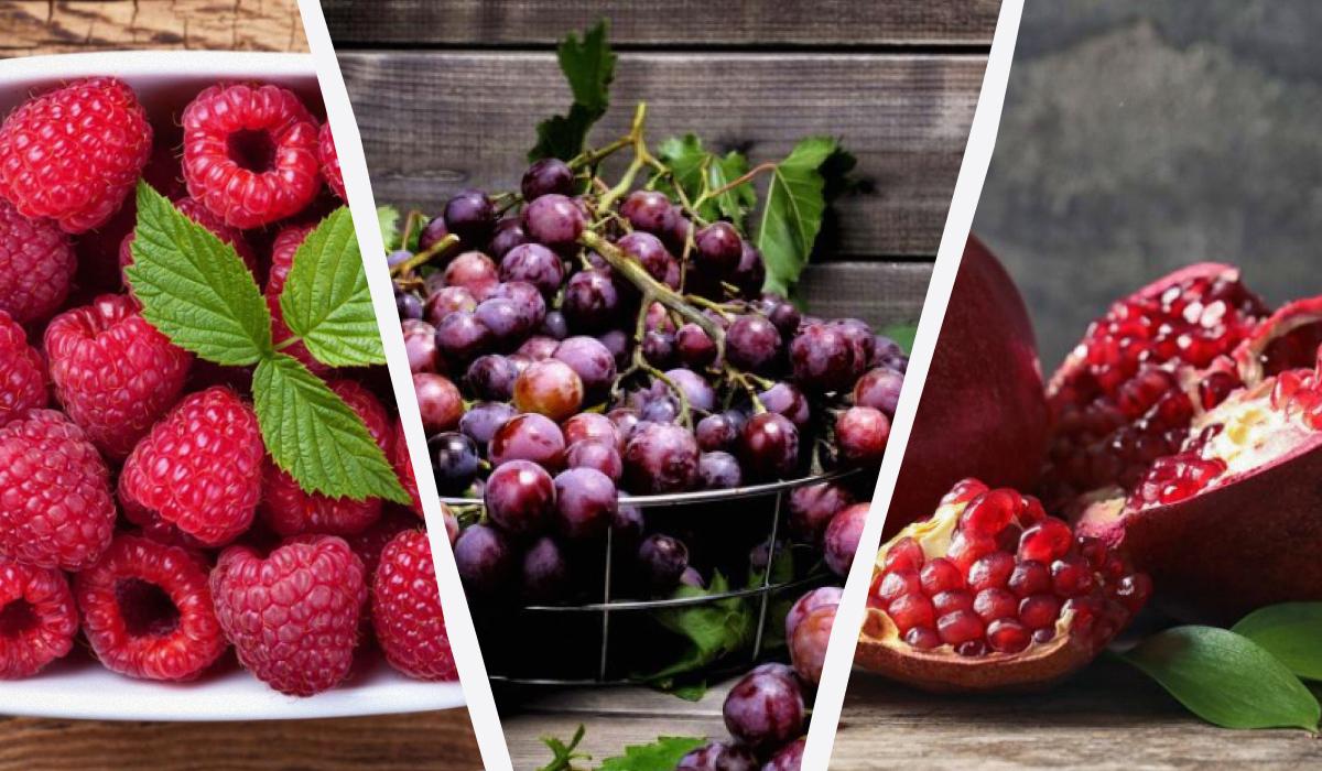 Не только вкусно, но и полезно: названы 6 фруктов с высоким содержанием антиоксидантов Не только вкусно, но и полезно: названы 6 фруктов с высоким содержанием антиоксидантов
