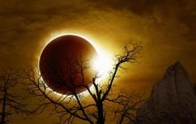Солнечное затмение 12 августа изменит жизнь 4 знаков Зодиака: есть ли среди них ваш